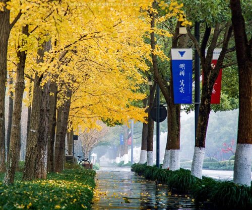 学者授课